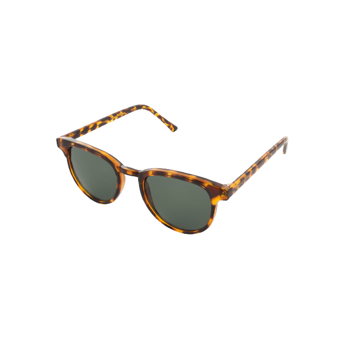  KOMONO FRANCIS Tortoise